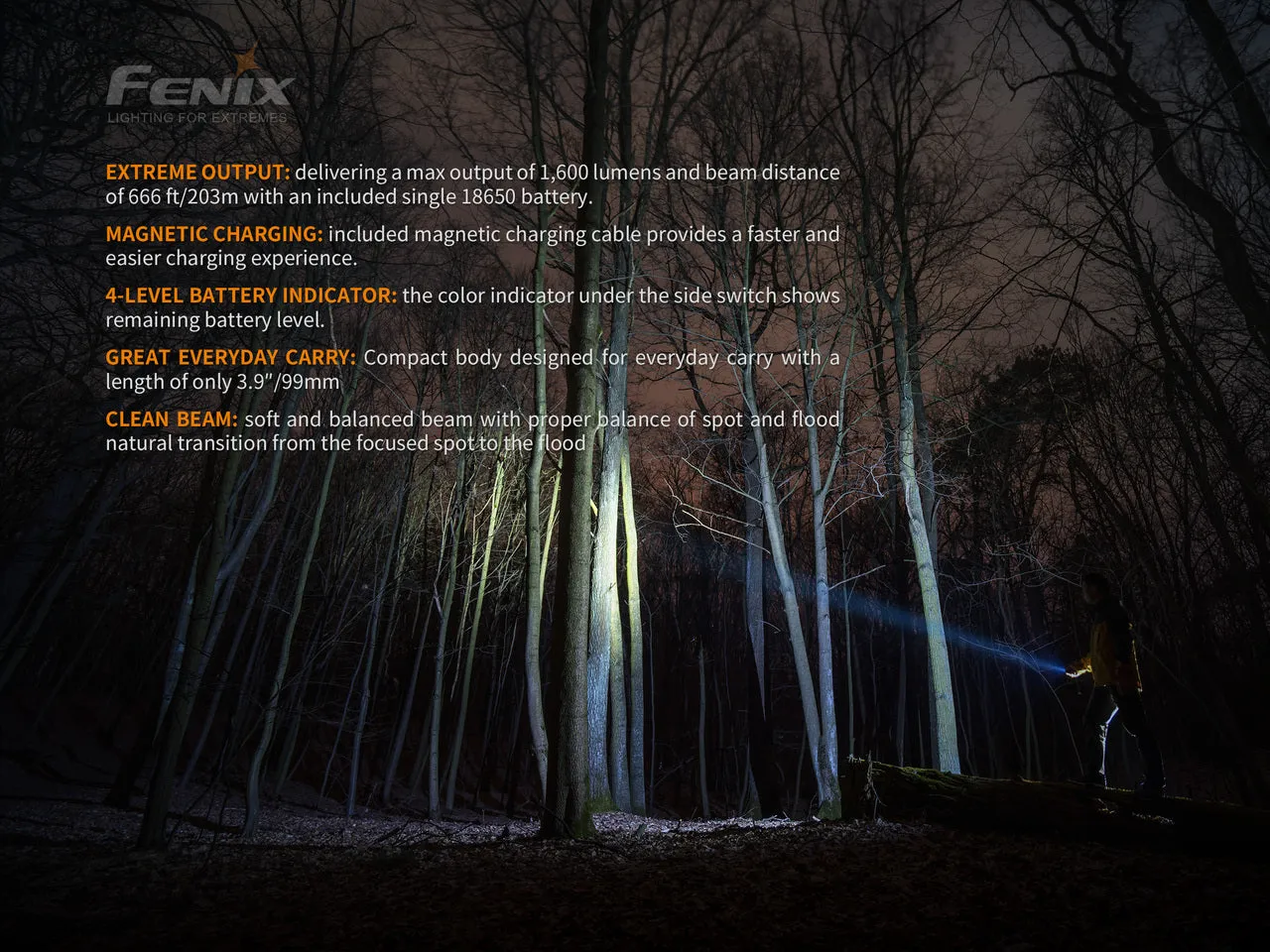 Fenix E30R Luminus SST40 LED Flashlight BLACK