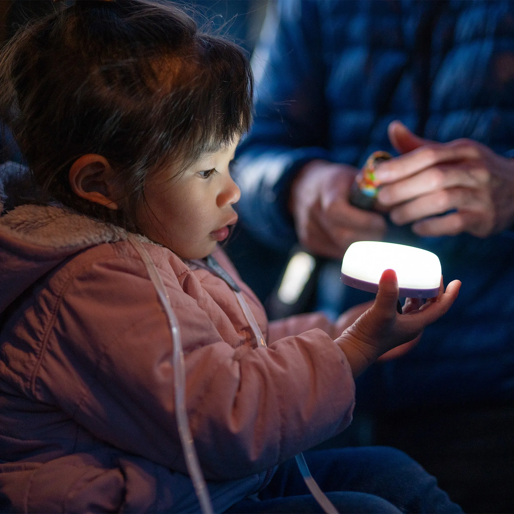 Kidcamp6 Lantern Purple by Ledlenser