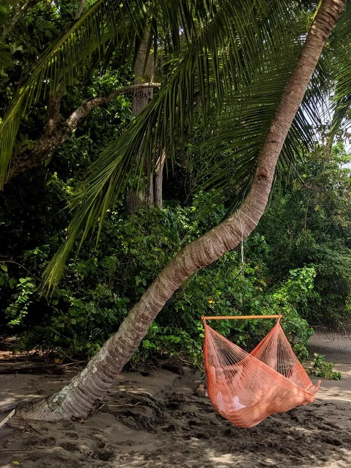 Thin Hangout Chair - Coral